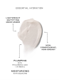 THE DAILY MOISTURIZER Online