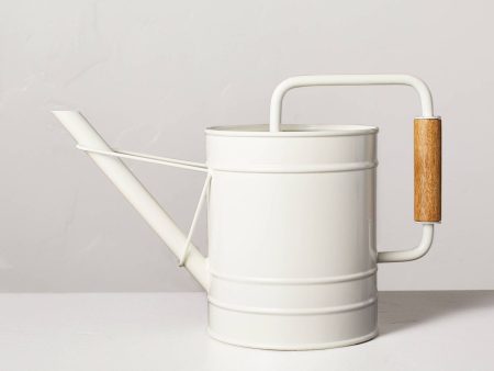 2.88L Painted Metal Watering Can Cream For Cheap